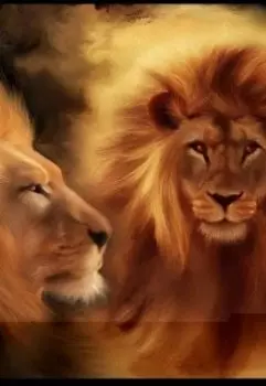 Индекс Мужества