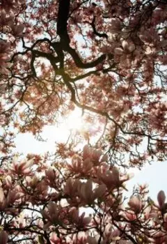 Интенсивное омоложение муки над своей честью