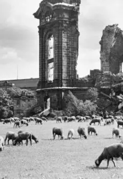 Истории из точки respawn'а