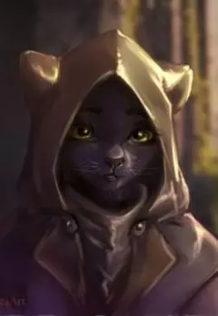 Истории одного каджита