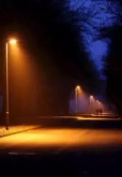 Истории охранника парка