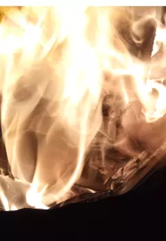 Истории с раскопок