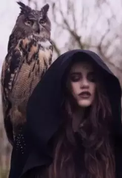 Истории ведьм