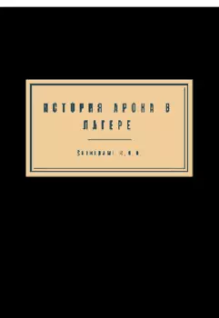 История Арона в лагере