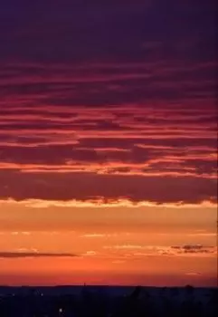 История крошки Флоранс