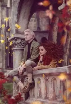 История любви Гермионы и Драко