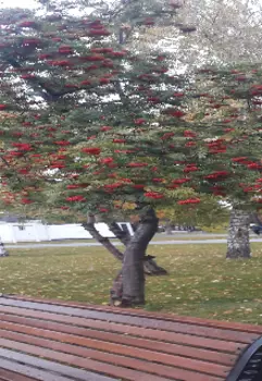 История моей жизни. 1 часть