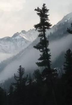 История необычной любви