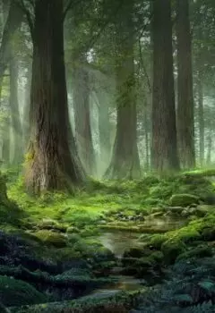 История о девушке барде с шелковой накидкой