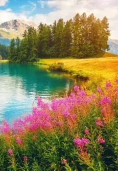 История о любви