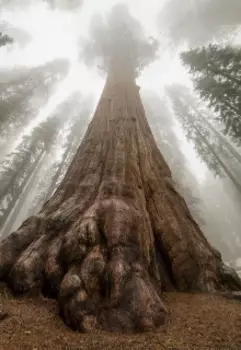 История обычного парня