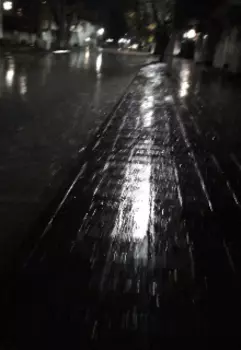 История одного дня