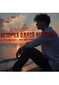 История одной встречи