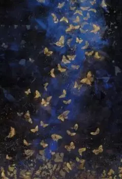 История одной жизни