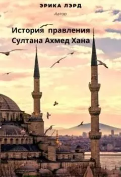 История правления Султана Ахмед Хана