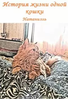 История жизни одной кошки