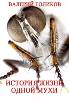 История жизни одной мухи