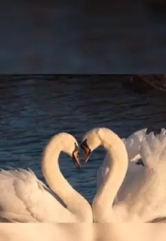 Из дневника уставшей женщины...