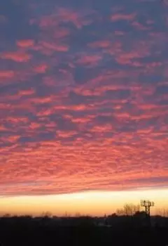 Из одного теста