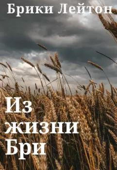 Из жизни Бри