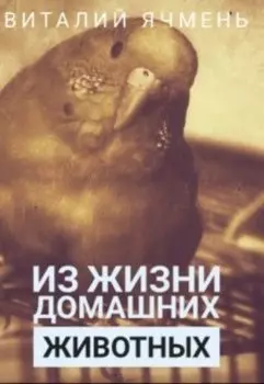 Из жизни домашних животных.