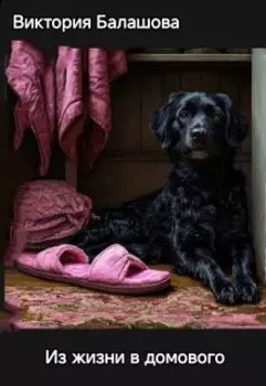 Из жизни в домового