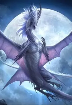 Избранник бога / Ари в мире магии