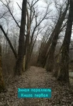 Энная параллель. Книга первая