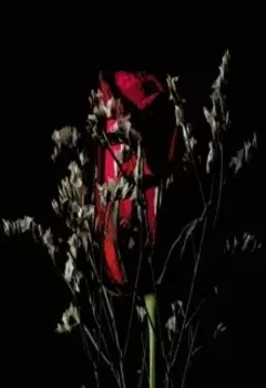 Эстетика. Стих в прозе