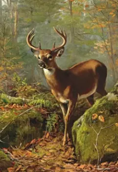 Эксперимент