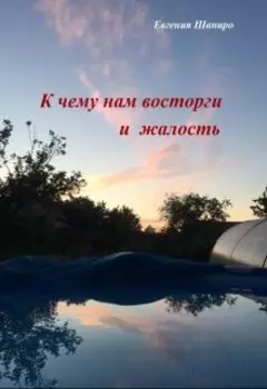 К чему нам восторги и жалость