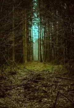 Кабаний Бог