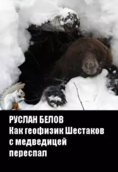 Как геофизик Шестаков с медведицей переспал