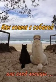 Как кошка с собакой или след лисицы...