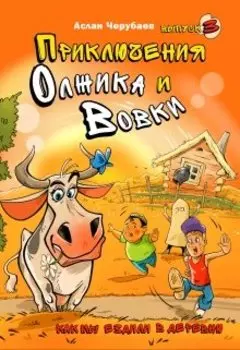 Как мы ездили в деревню