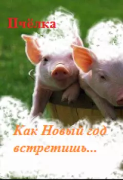 Как Новый год встретишь...