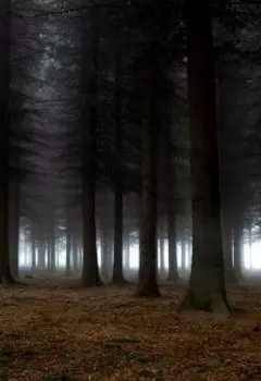 как попасть в прошлое или как изменить будущее