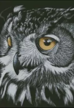 Как я оказалась здесь.