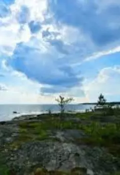 Как старик шведов перехитрил