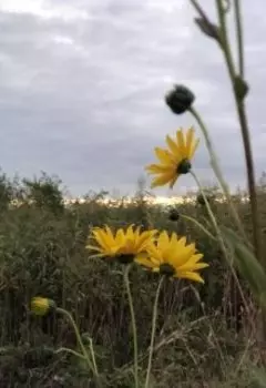 Какими бывают женщины