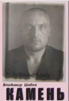 Камень. Биографический роман.