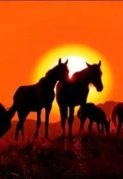 Каменный конь