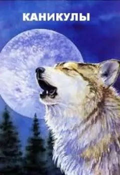 Каникулы