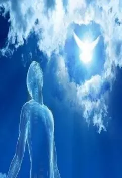 Капля Океана (кто мы?)