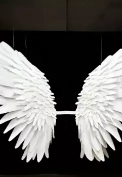 Картонные крылья