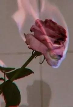 Каждая наша встреча — новый укол адреналина.