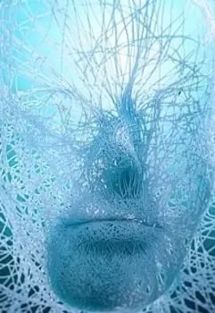 Киберзима сотрёт киберосень