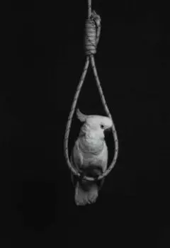 Кирюша хороший