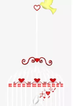 Клетка для золушки