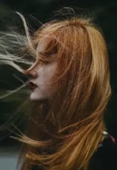 Книга отзывов по прочитанным романам